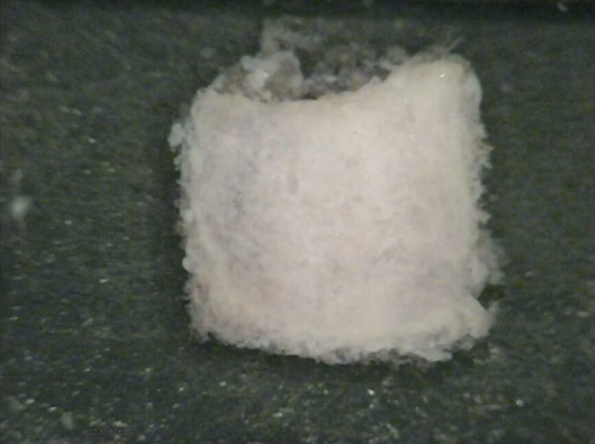 iPS細胞が拓く未来の医療 個性を活かす創薬