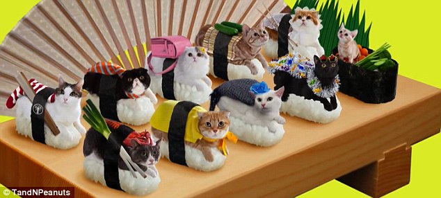 想像力を刺激するネコずしの魅力