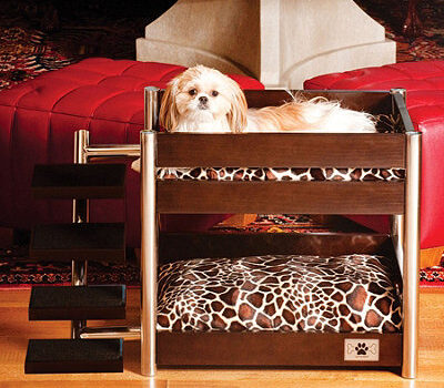 愛犬愛猫と楽しむ洗練デザイン家具