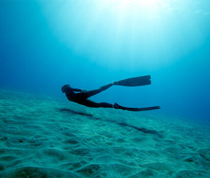 水中を舞う記録保持者 フリーダイバーの世界