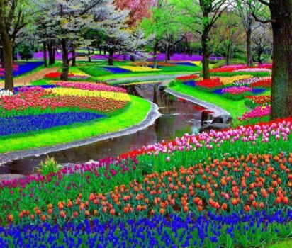 オランダ キューケンホフ公園 世界最大の花の祭典