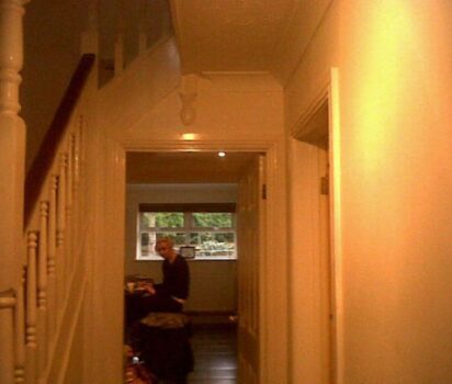 身近に潜む猫探し かくれんぼ名人を探そう