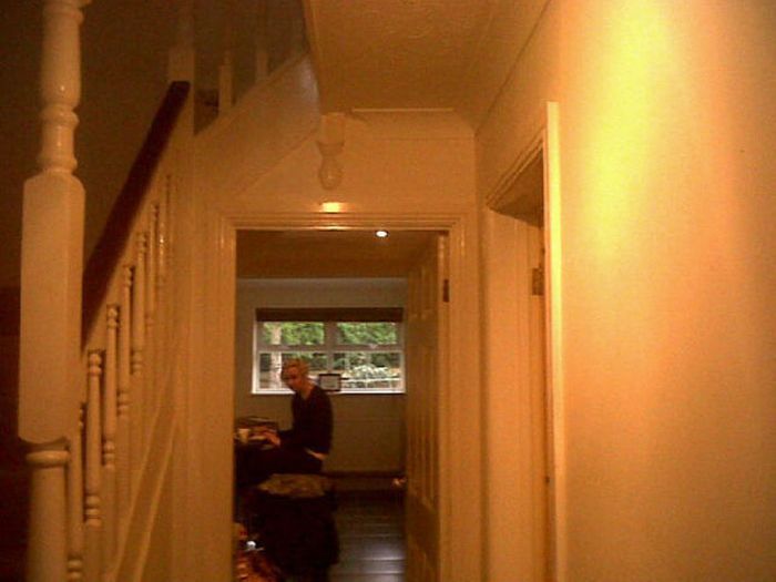 身近に潜む猫探し かくれんぼ名人を探そう