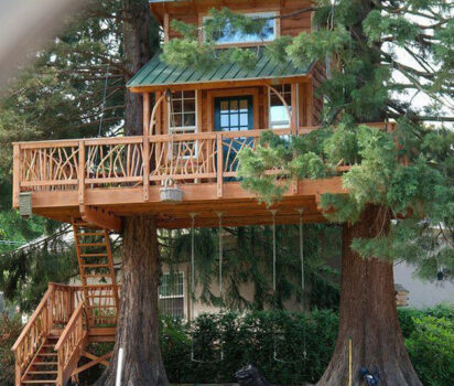 夢と遊び心が広がるツリーハウスの世界