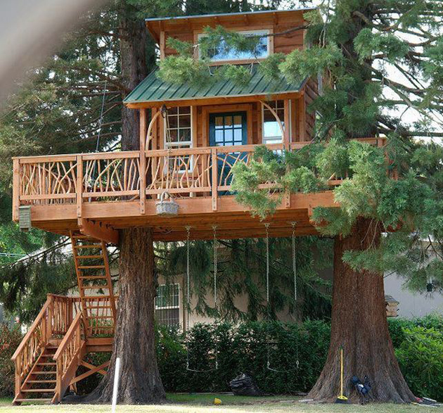 夢と遊び心が広がるツリーハウスの世界