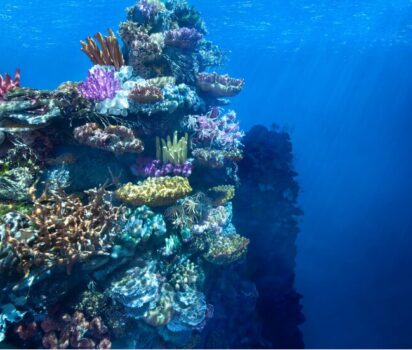 見間違えるほどリアルなミニチュア作品の魅力