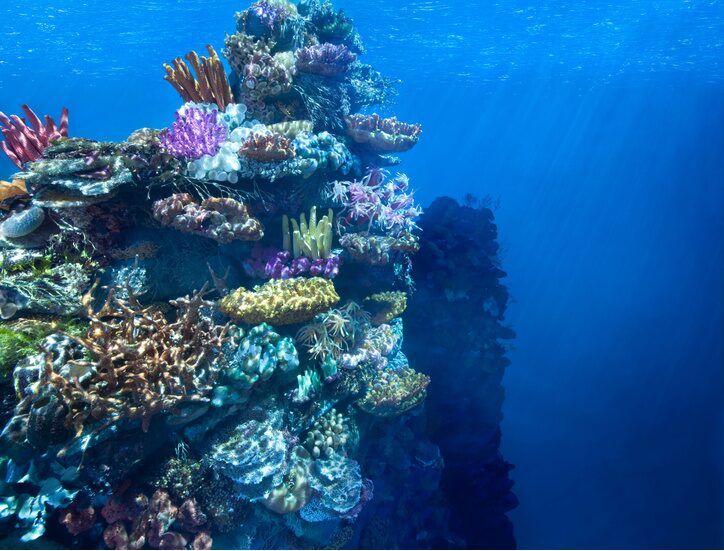 見間違えるほどリアルなミニチュア作品の魅力