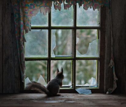 フィンランドの森に息づく人工と自然の物語