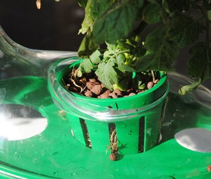 都市空間で育てる垂直水耕プラントシステム