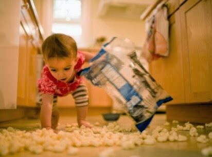 食べ物を落とした際の「5秒ルール」科学的検証