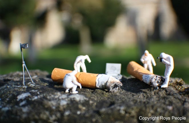 街角に隠れた小さな世界 日常の風景がアートに変わる