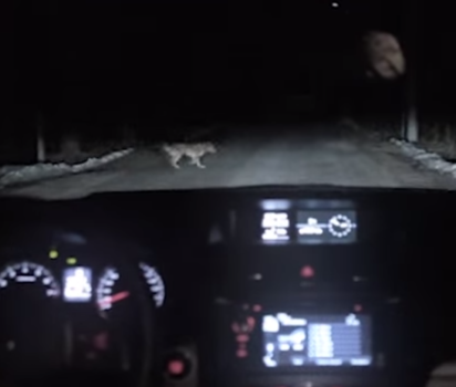 路上での不測の事態にどう対処するか