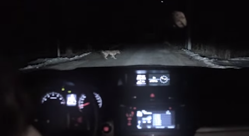 路上での不測の事態にどう対処するか