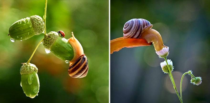 写真家ヴャチェスラフが見つめる小さな命