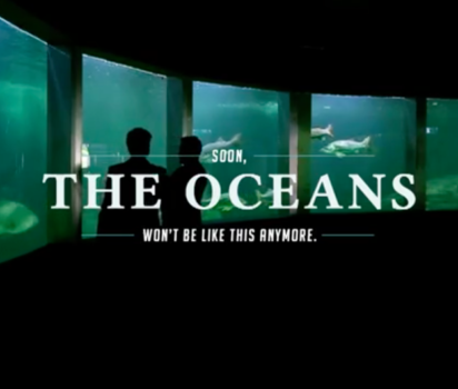 ブラジルの水族館 海の現状を伝える展示