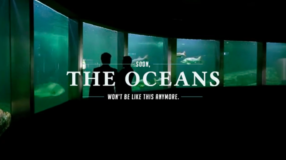 ブラジルの水族館 海の現状を伝える展示