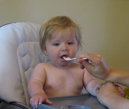 初めてのラズベリー ステラちゃんの反応