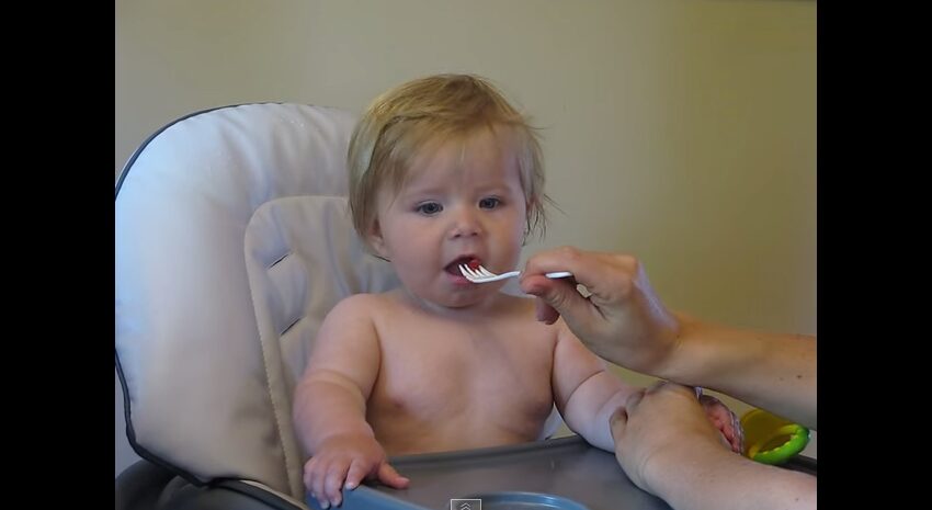 初めてのラズベリー ステラちゃんの反応