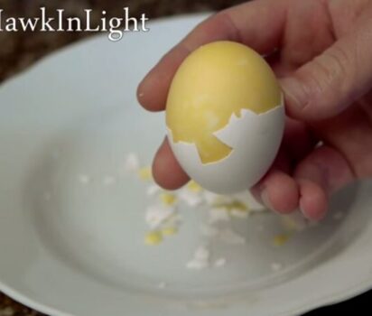 殻の中で交わる黄と白 卵の常識を覆す試み